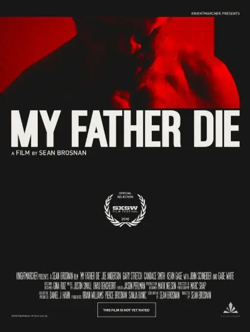 《弑父之殇》：一部关于复仇与救赎的深刻家庭伦理剧，看完泪崩！