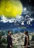 《孔雀眼》：青春群像的迷茫与挣扎，一场关于“谣言风暴”的青春祭！